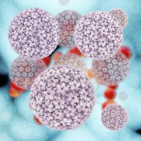 mga molekula sa human papillomavirus